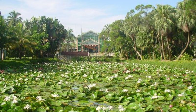 Recepción - Sun Island Holiday Hotel