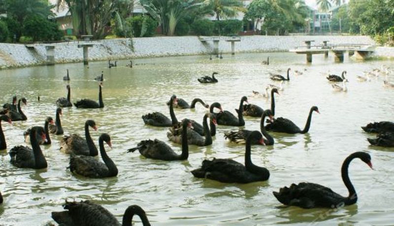 Recepción - Sun Island Holiday Hotel