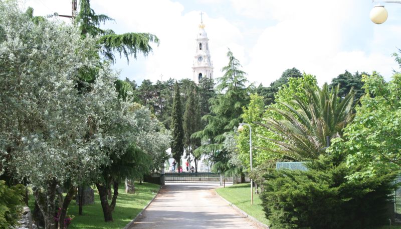 Otoczenie - Casa São Nuno