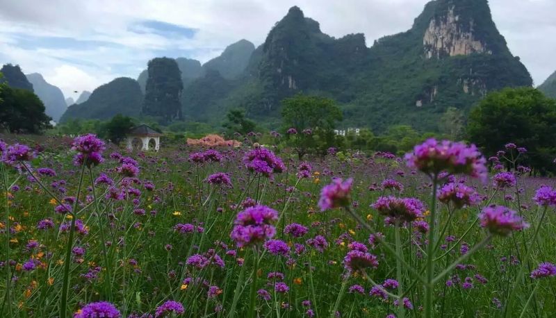 Info - Country Villa Yulong Riverside Boutique Hotel
