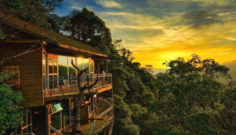 Info - Hidden Heart Valley Tree House Hotel