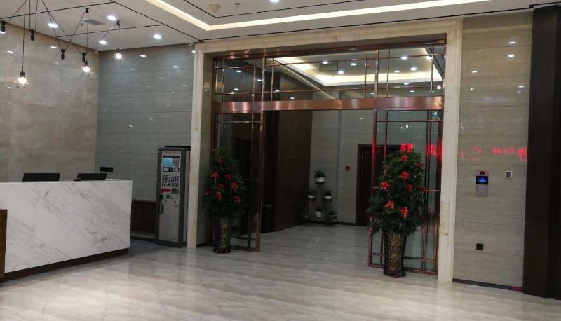 Hotel Außenbreich - Aiou Luxury Hotel (Zhonghua Baroque Store)