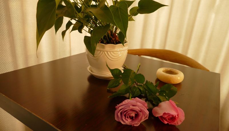 Buitenruimte van het hotel - Light Stay   Yuexiang Esports Hotel (Yangzhou Vocational University Jinghuacheng Branch)