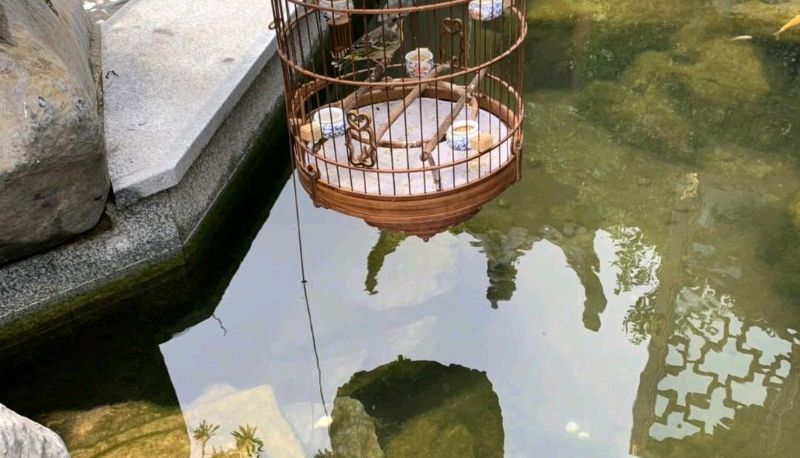 Informacje - Minghu Lotus Pond Hotel (Jinan Daming Lake Chaoran Building Store)