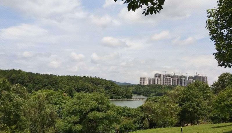 Info - Century Huating Hotel (High-speed Railway Station Store in Industrial Park)