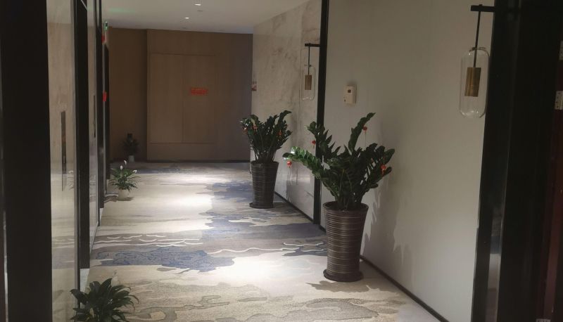 Hotel Außenbreich - Lishui Wanqiao International Hotel (Shuige Park Branch)