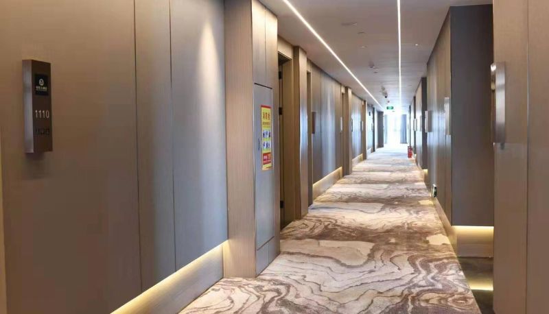 Area esterna dell'hotel - Shuangjia Hotel (Changsha Huanghua Airport Store)
