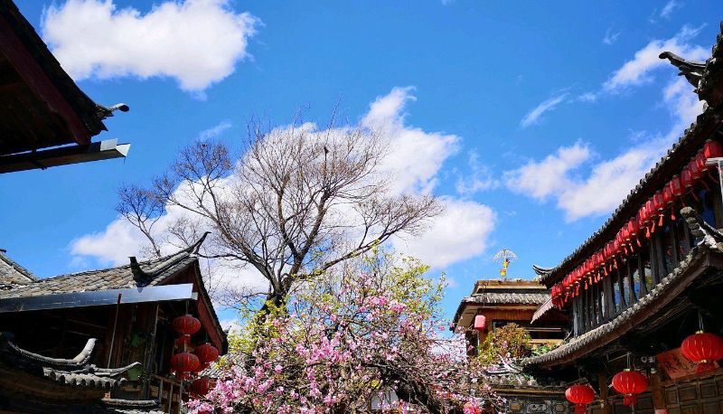 Info - Qingxin Youshe View Snow Scenery Meisu (Sifang Street Store)