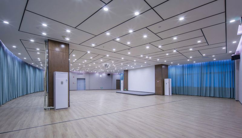Area esterna dell'hotel - Berman International Hotel