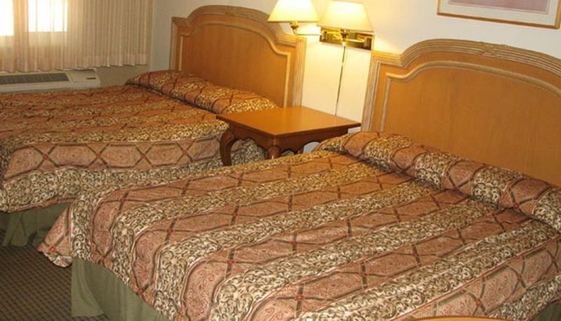 Chambre - Safari Inn