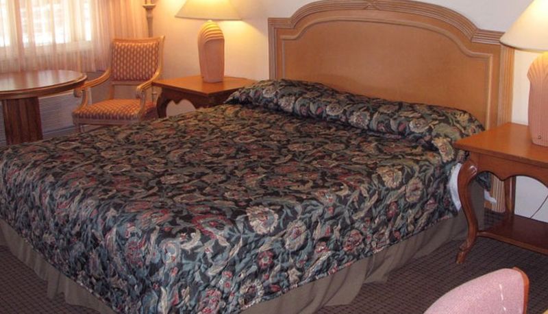 Chambre - Safari Inn