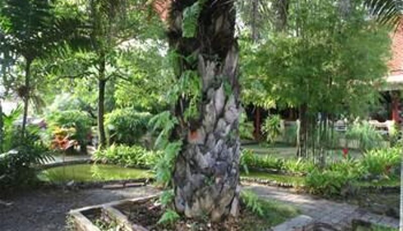 Giardino - Pinnacle Satun Wangmai Hotel