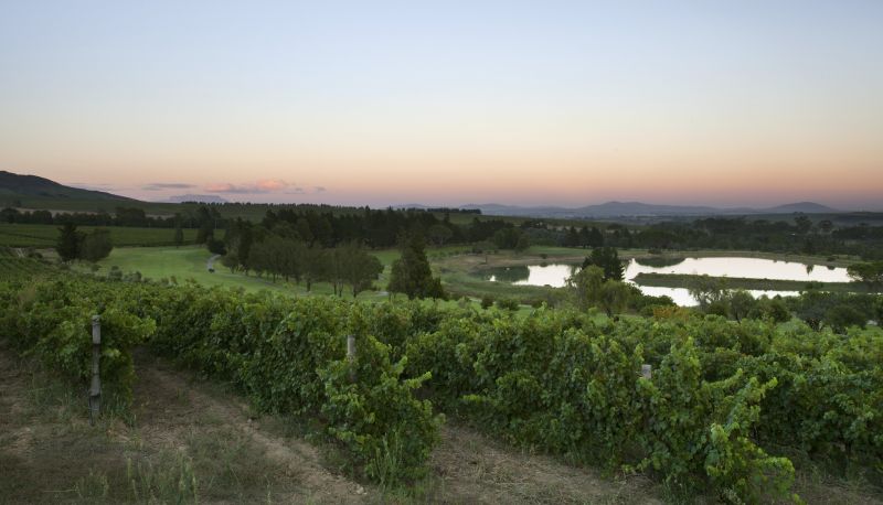 Info - Devonvale Golf & Wine Estate