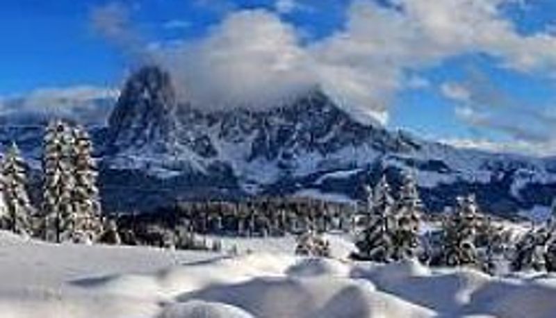 Info - Castel Oswald von Wolkenstein