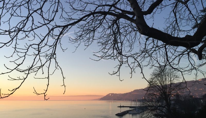 Vista - Residence Rive-Reine