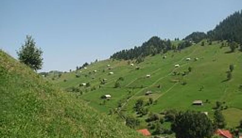 Información - Vila Cerbul