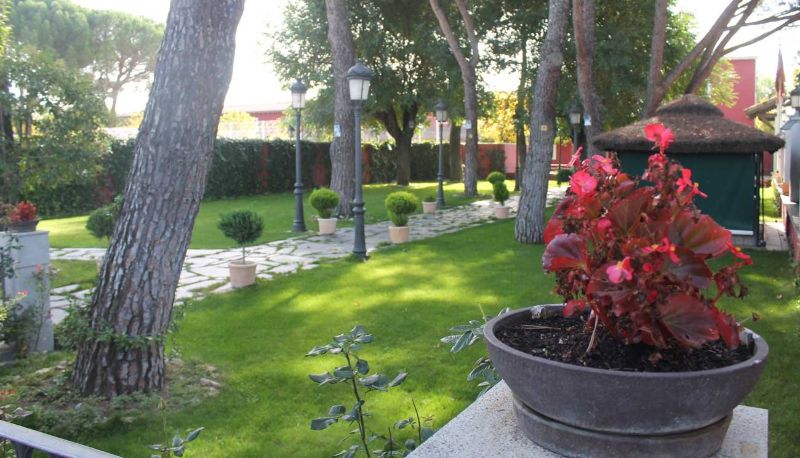 Garden - Juaneca