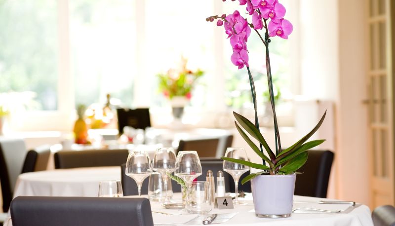 Restaurant - La Ferme de Flaran Logis