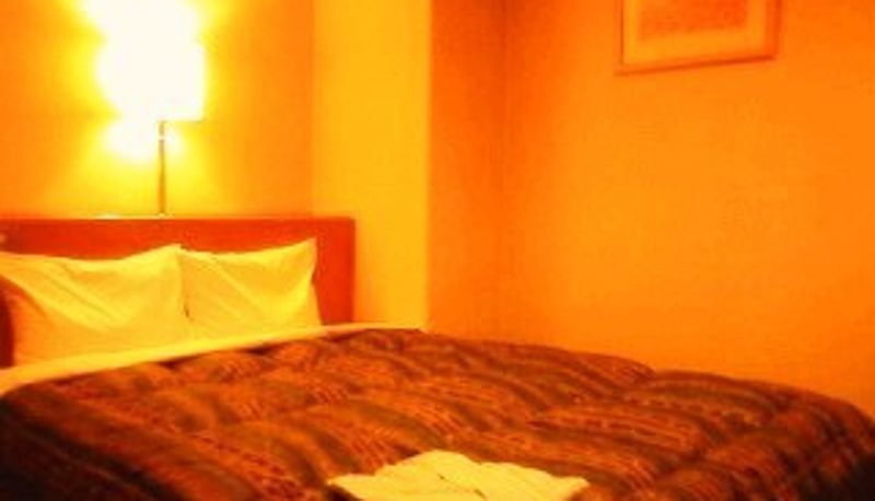 Standaardkamer (tweepersoons) - Hotel Bougainvillea Akebonobashi