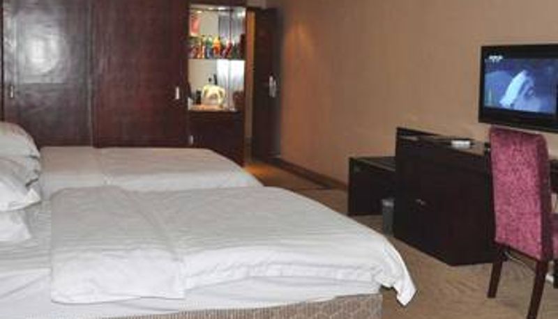 Camera - Tianfu Hotel - GuangAn