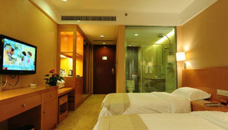 Camera - Airport Hotel