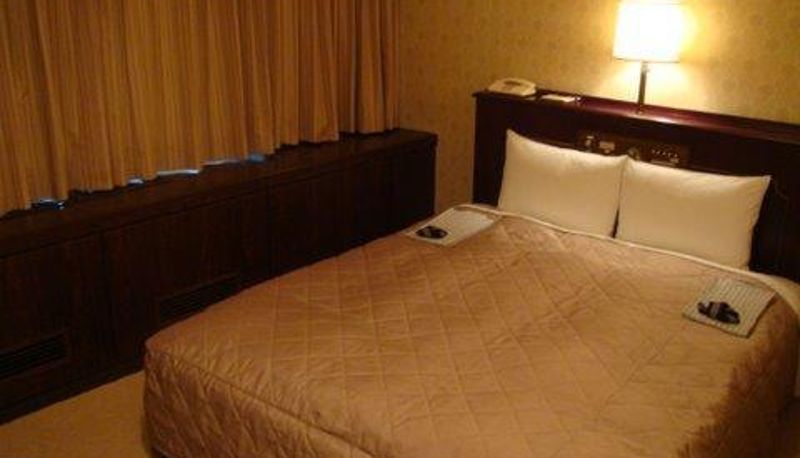 Standaardkamer (tweepersoons) - Hotel Pine Hill Ayase