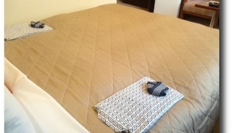 Standaardkamer (tweepersoons) - Hotel Pine Hill Ayase