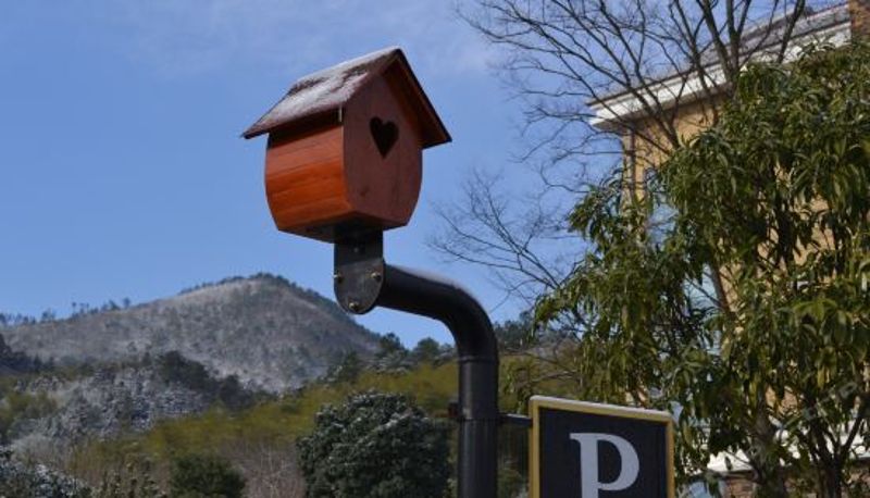 Recepción - Liyang Garden Valley Resort Hotel