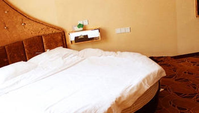 Camera - Mianyang Santai Jin Feng Huang Hotel