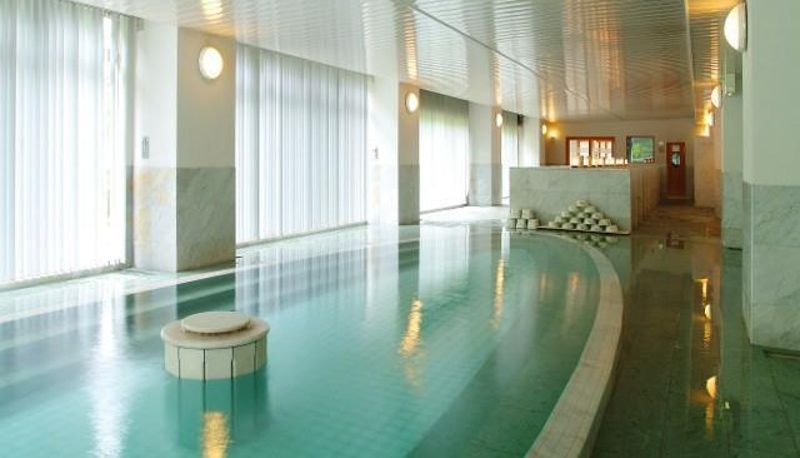 Piscina - (RYOKAN) Yuze Hotel