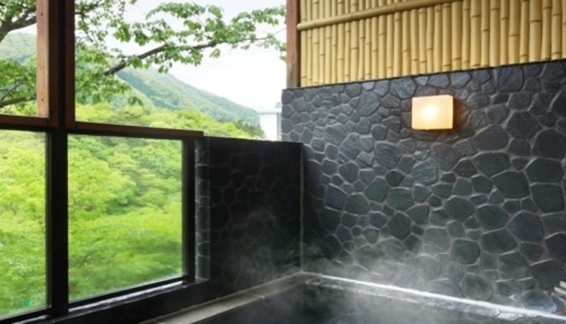 Habitación con vistas al río - (RYOKAN) Kinugawaonsen Seijaku to Magokoro no Yado Nanaeyae