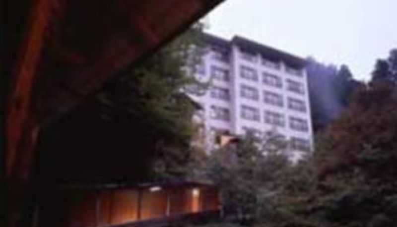 Vista exterior - (RYOKAN) Shiobara Onsen Myogaya Honkan