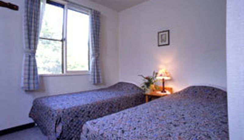 Camera standard (doppia) - Hotel Salle Empire King