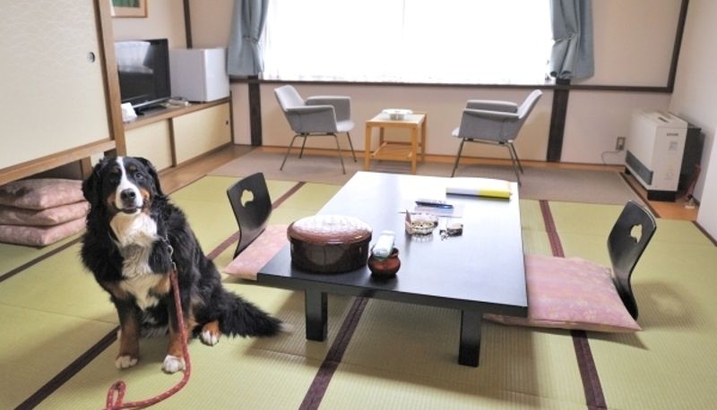 Standardzimmer (Doppel) - (RYOKAN) Zao Onsen Zenshichinoyu