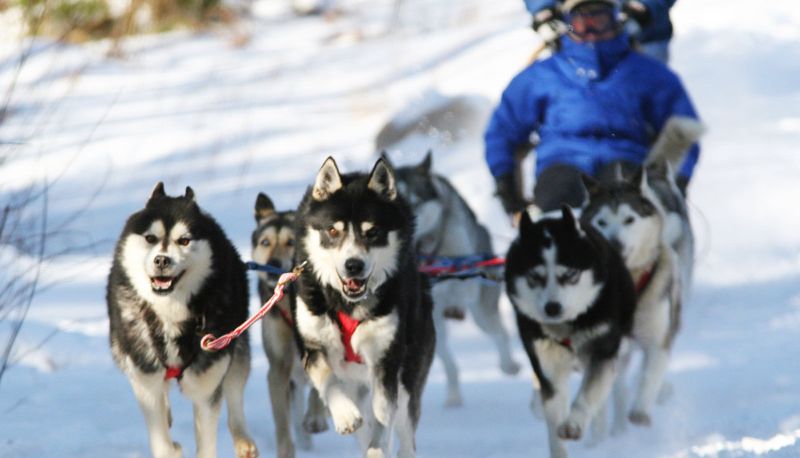 Strutture sportive - Auberge du Lac Taureau