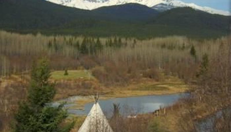 Otoczenie - Teepee Meadows Guest Cottages
