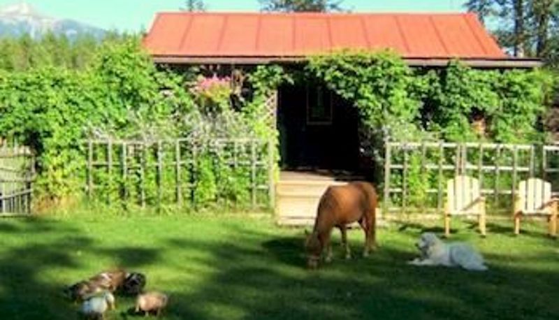 Otoczenie - Teepee Meadows Guest Cottages