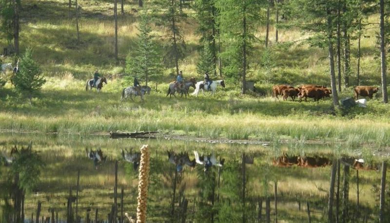 Dintorni - The Ranch at Laughing Water