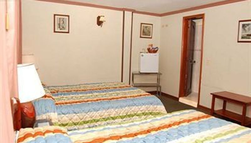 Habitación estándar (individual) - Hotel Lido