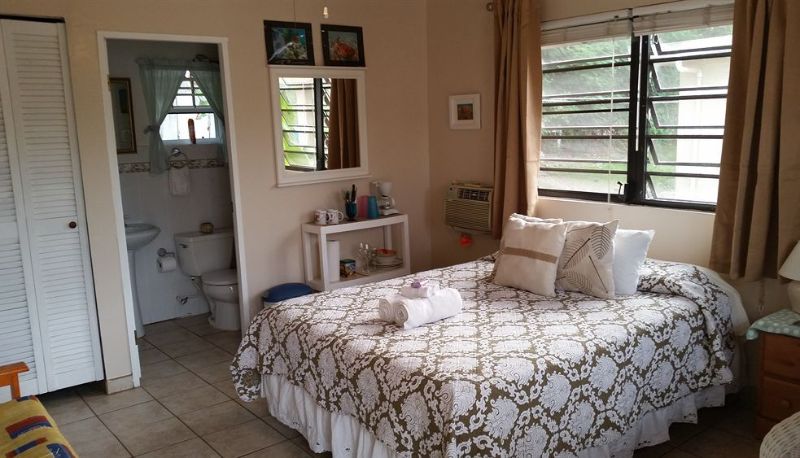 Standaardkamer (eenpersoons) - Rosa's Place Guesthouse