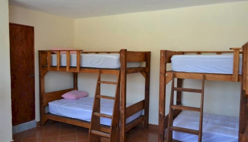 Habitación estándar (individual) - Mayan Amazons Hostel