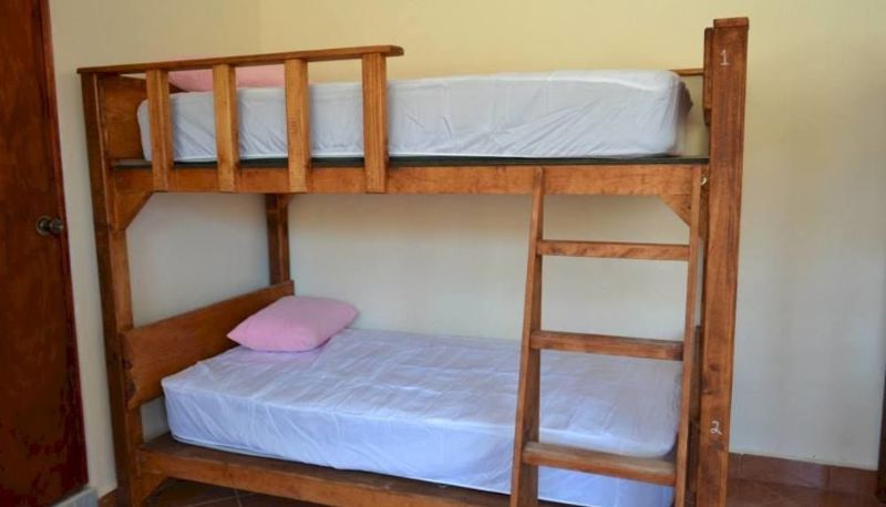 Habitación estándar (individual) - Mayan Amazons Hostel