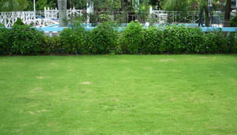 Jardim - Brandon Hill Guest House