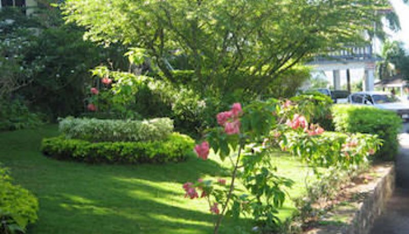 Jardim - Brandon Hill Guest House