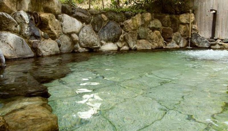 Standaardkamer (tweepersoons) - 玉名温泉　立願寺温泉ホテル