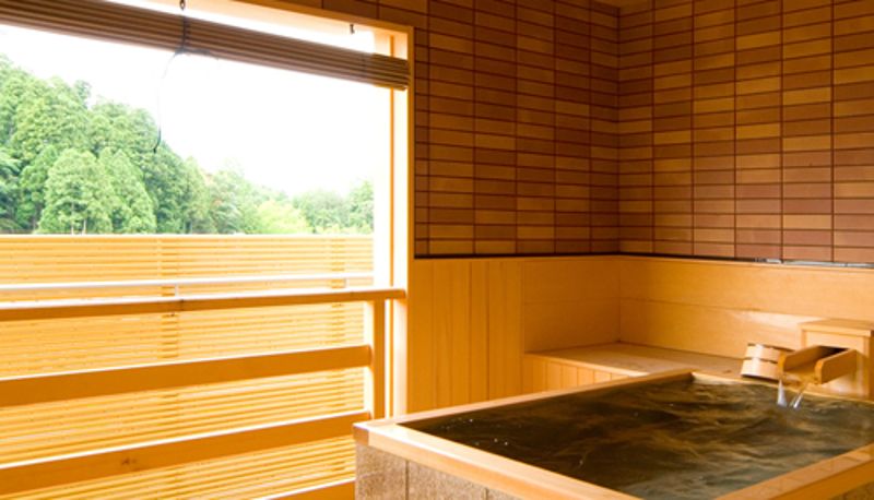 Chambre standard (double) - (RYOKAN) Awazu Onsen Tsujinoya Hananoshou