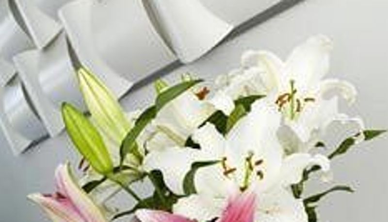 Interieur van het hotel - Friday on the Beach