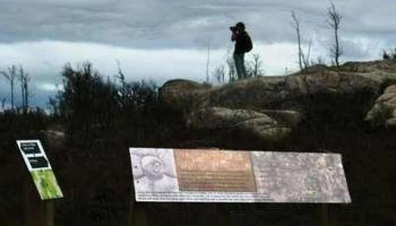 Info - Huon Bush Retreats