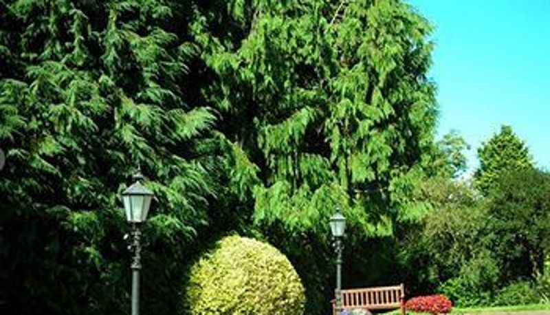 Giardino - Grey Gables