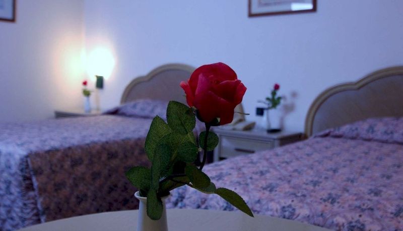 Standard room (single) - Grand Al Saha Hotel